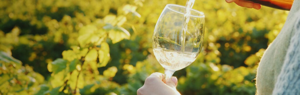 Enoturismo em Portugal Vinhos, Paisagens e Tradição
