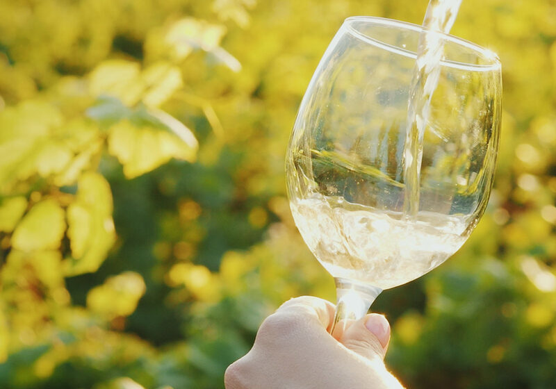 Enoturismo em Portugal Vinhos, Paisagens e Tradição